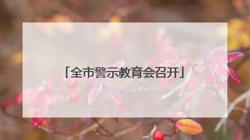 全市警示教育会召开
